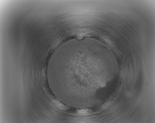 X0000066010461200603101601