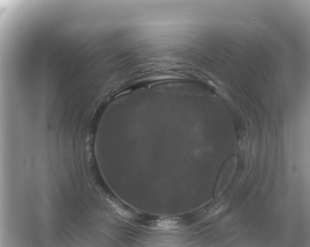 X0000066010462200603101601