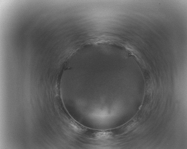 X0000066010465200603101601