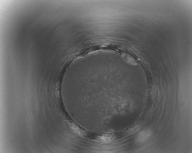 X0000066010466200603101601