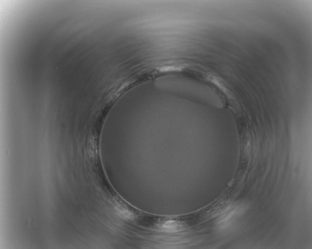 X0000066010467200603101601