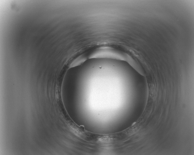 X0000066010470200603101601