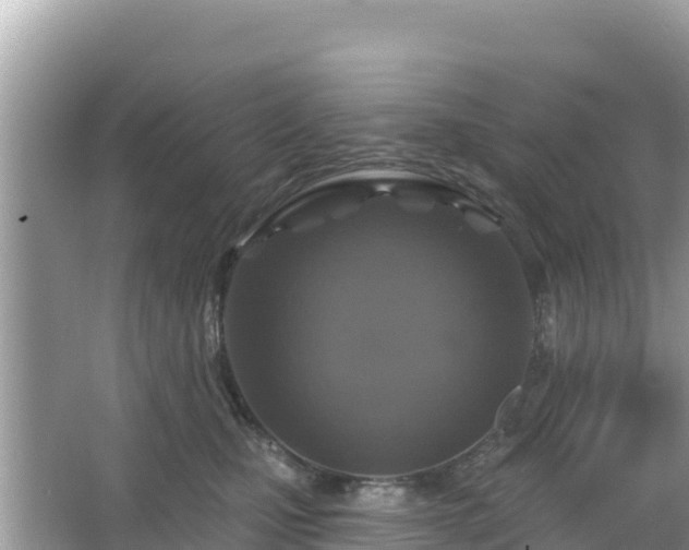 X0000066010471200603101601