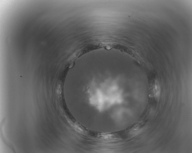 X0000066010472200603101601