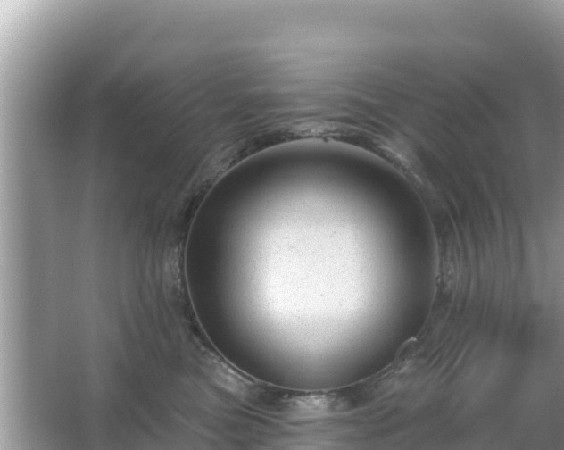 X0000066010473200603101601