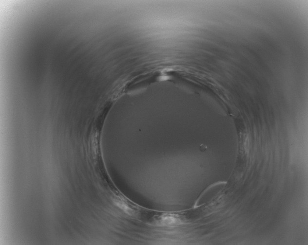 X0000066010475200603101601