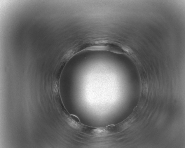 X0000066010477200603101601