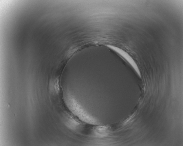 X0000066010479200603101601