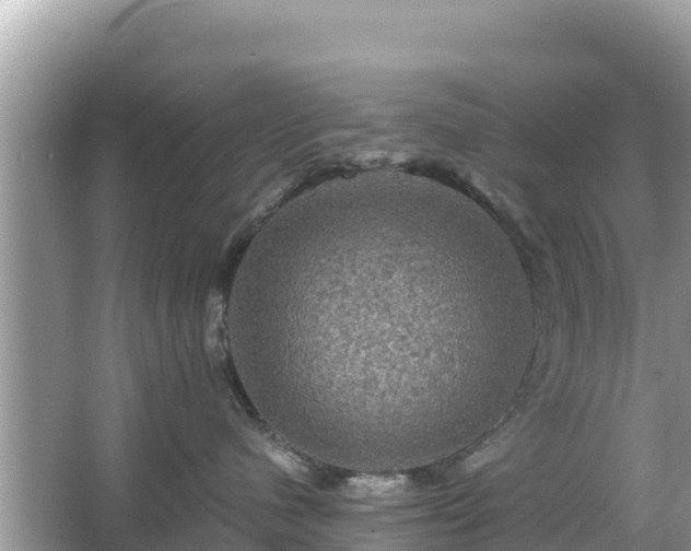 X0000066010480200603101601