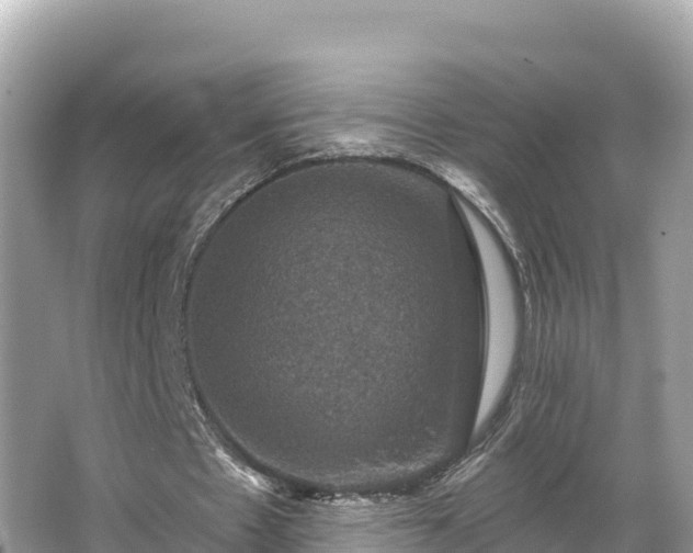 X0000066010481200603101600