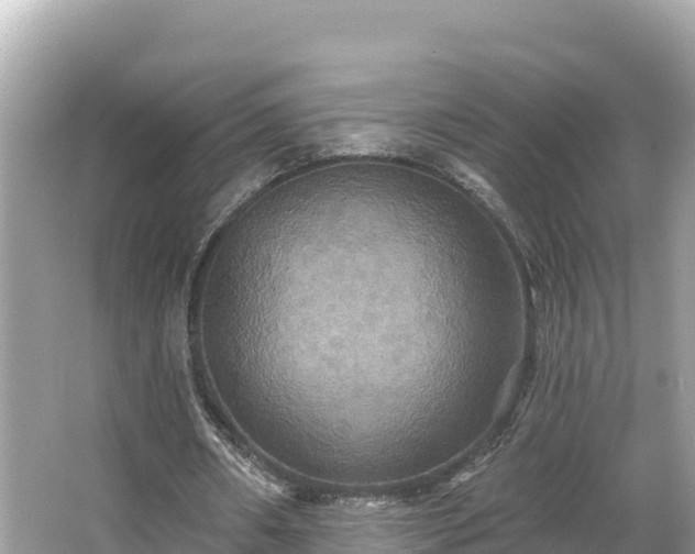 X0000066010482200603101600