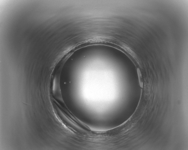 X0000066010485200603101600