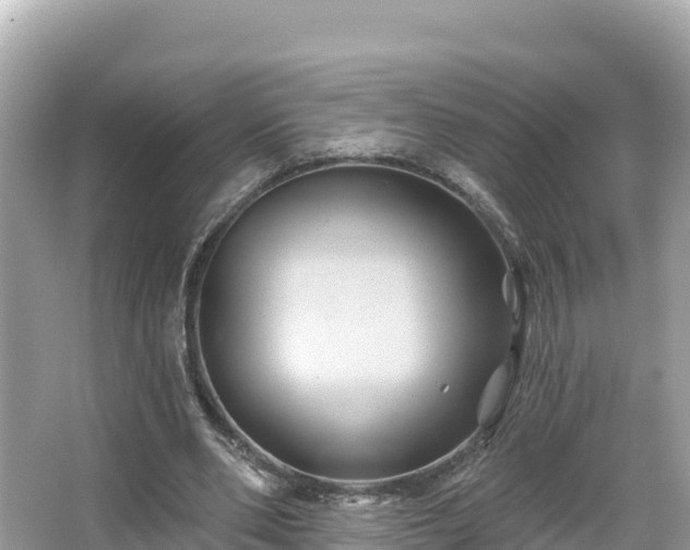 X0000066010486200603101600