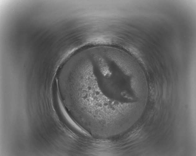 X0000066010487200603101600