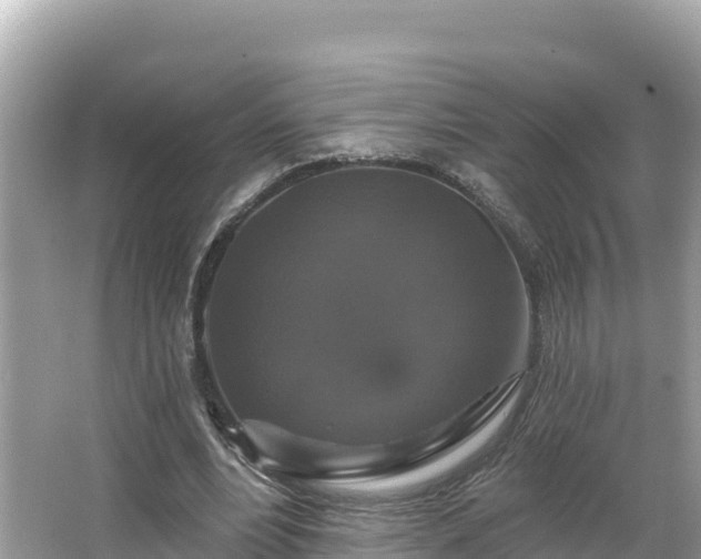 X0000066010488200603101600