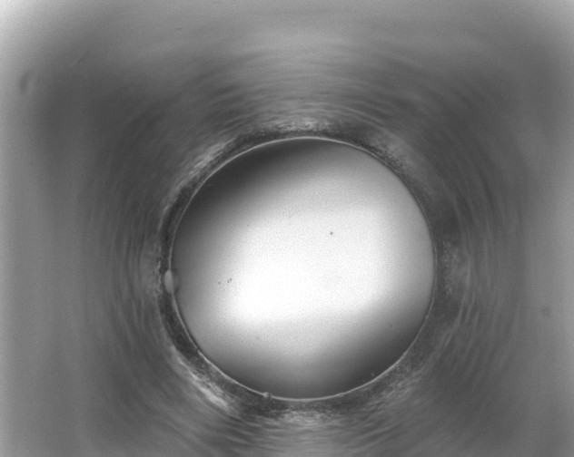 X0000066010490200603101600