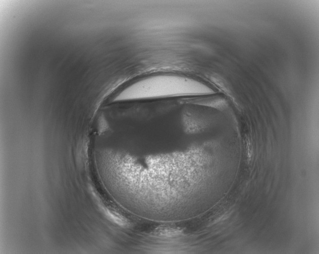 X0000066010491200603101600