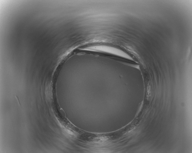 X0000066010492200603101600