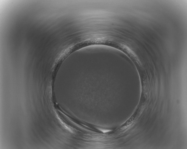 X0000066010493200603101600