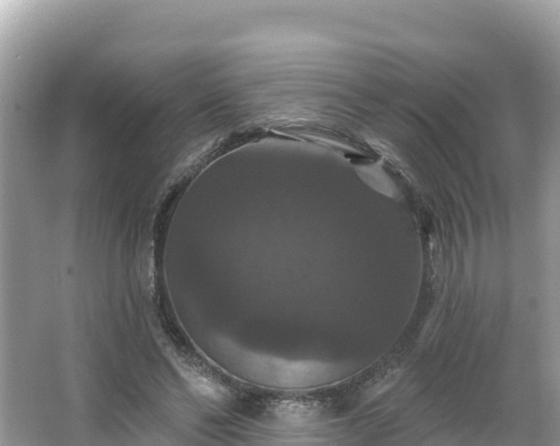 X0000066010494200603101600