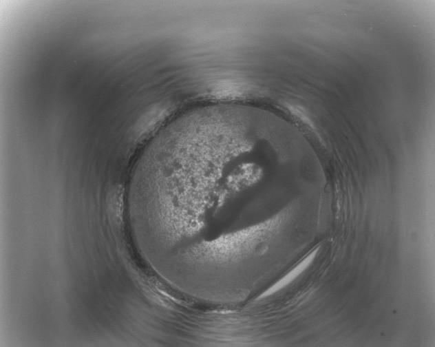 X0000066010495200603101600