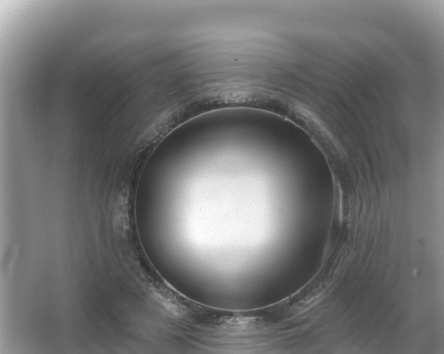 X0000066010497200603101600