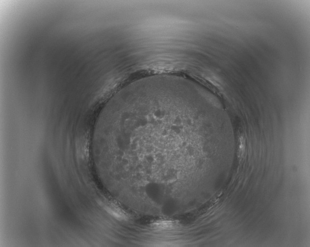 X0000066010499200603101600