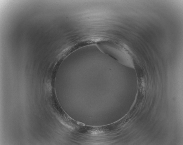 X0000066010500200603101600