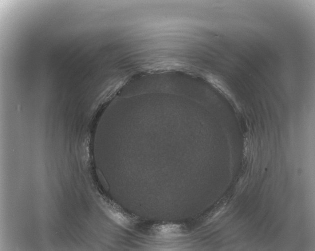 X0000066010501200603101600