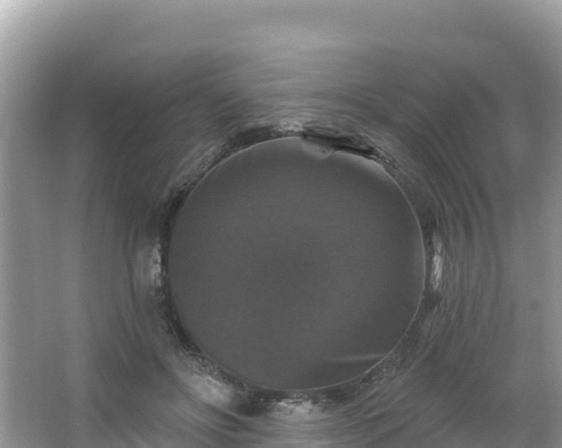 X0000066010502200603101600