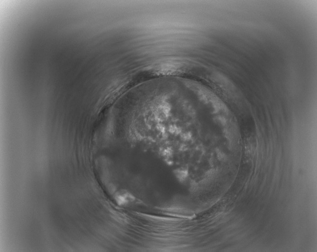 X0000066010503200603101600