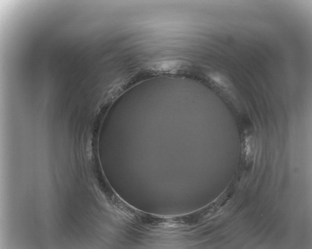 X0000066010504200603101600