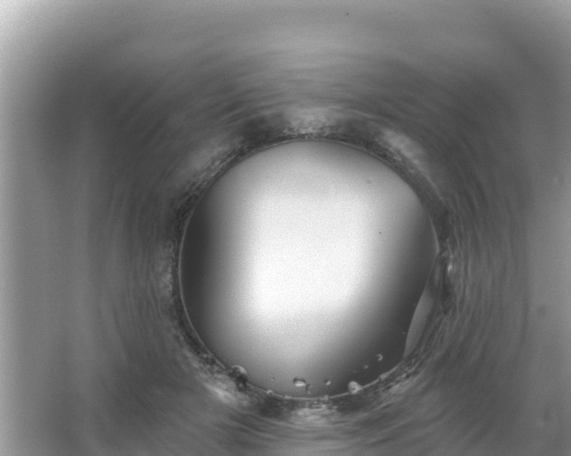 X0000066010505200603101600