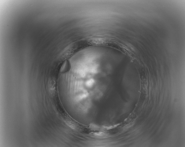 X0000066010507200603101600