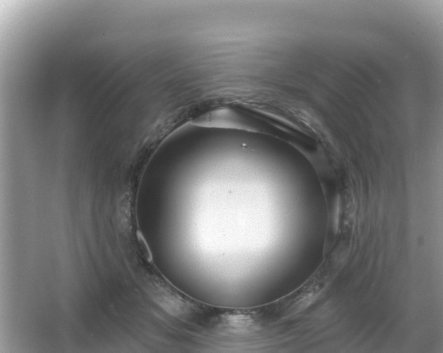 X0000066010509200603101600