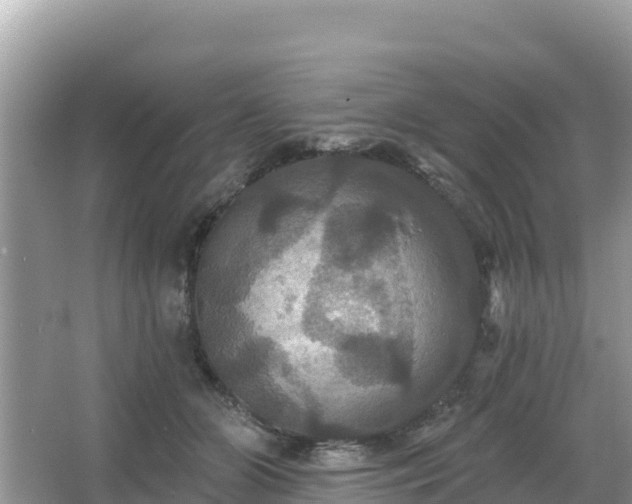 X0000066010510200603101600