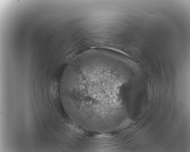 X0000066010511200603101600