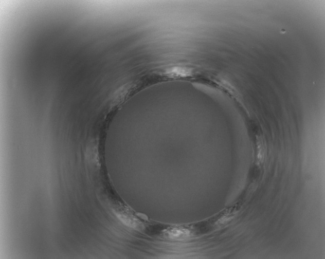 X0000066010512200603101600