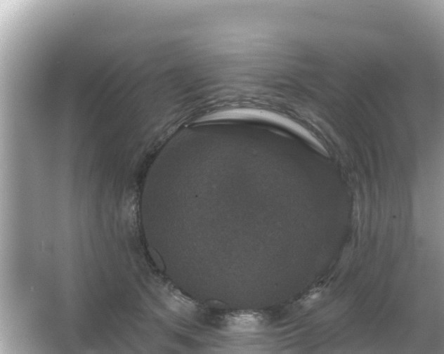 X0000066010513200603101600