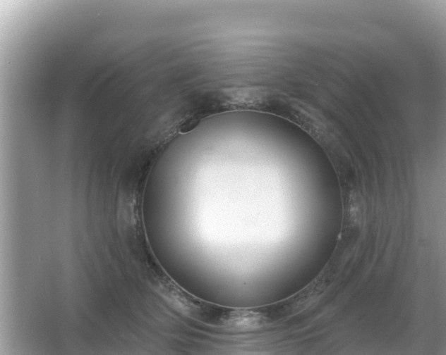 X0000066010514200603101600