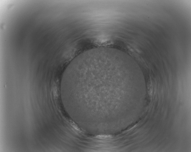 X0000066010515200603101600