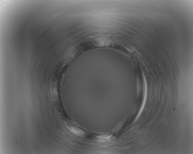 X0000066010516200603101600