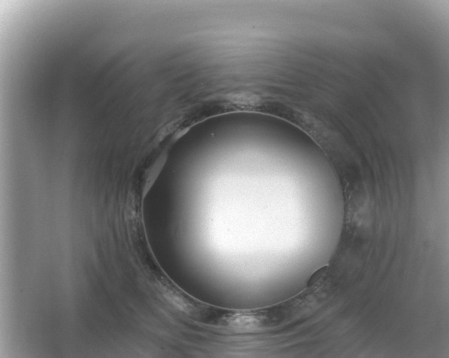 X0000066010518200603101600