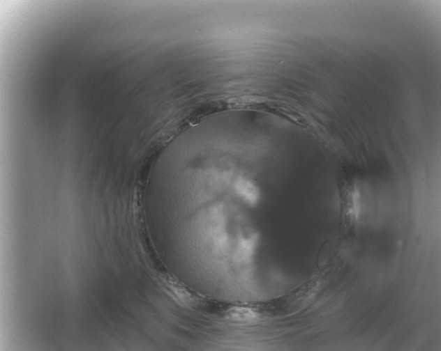 X0000066010519200603101600