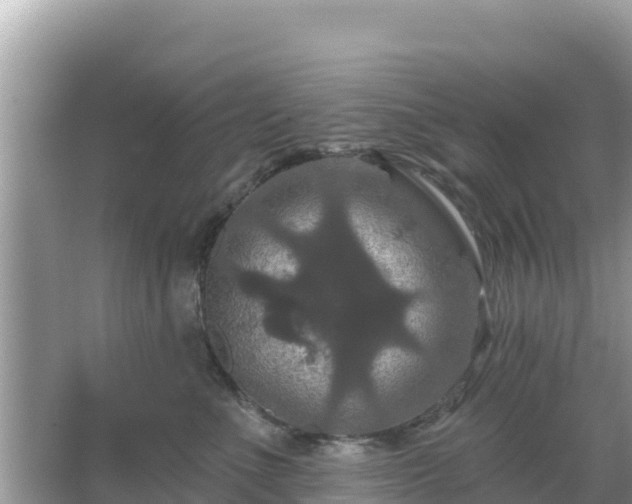 X0000066010523200603101600