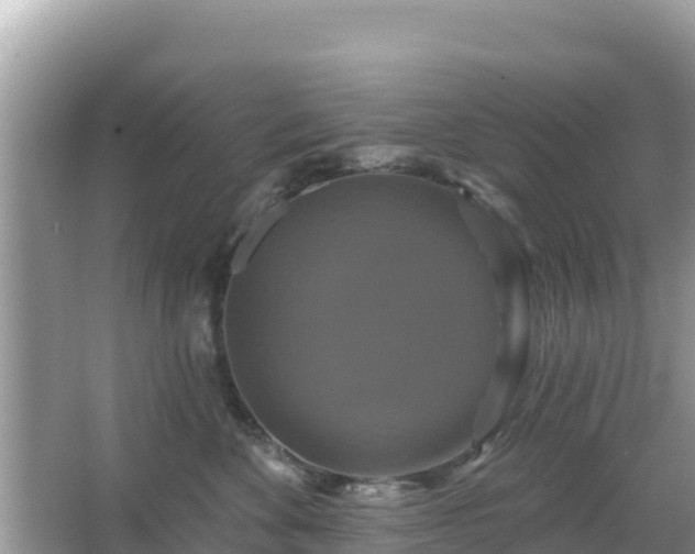 X0000066010524200603101600