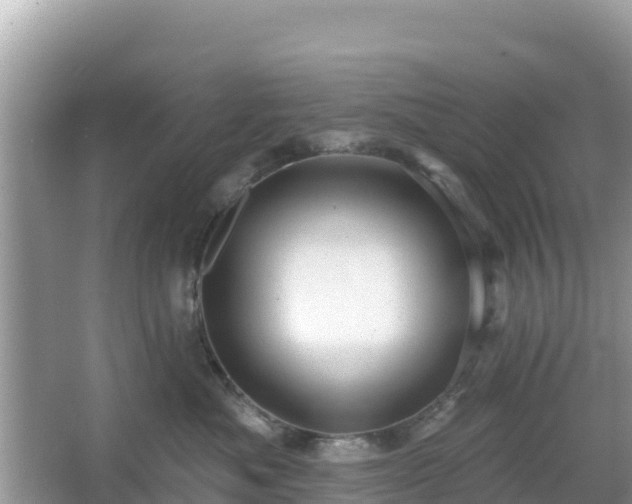 X0000066010525200603101600