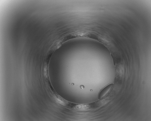 X0000066010526200603101600