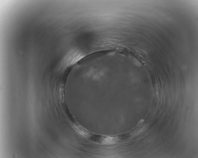 X0000066010527200603101600