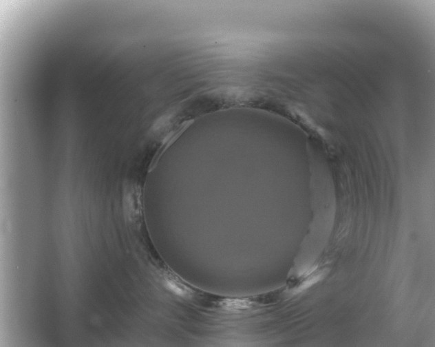 X0000066010528200603101600